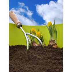 Zwarte grond kopen? Goedkoop bij tuinaarde-compost.nl. Bestel nu!